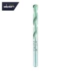 ALPEN アルペン 11700340 ロングライフ 3.4×60mm ストレートシャンク (1本)