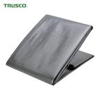  Trusco TRUSCO UV серебряный сиденье экономический #4000 примерно 8 татами соответствует 3.6m×3.6m (1 листов ) номер товара :SSL40-3636