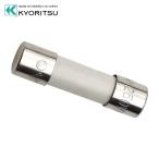 共立電気計器 MODEL8929 ヒューズ (1個)