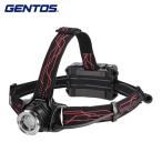 ジェントス GENTOS Gシリーズ ハイブリッド式LEDヘッドライト 203RG (1個) GH-203RG