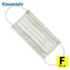 川西 ガードファイン3�