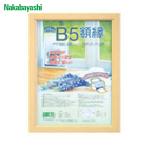 ナカバヤシ 樹脂製軽量額(キジ)パック/B5 (1枚) KWP-51