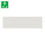 光 HIKARI アクリル長方形 透明 100×30×2mm (1枚) KA-1030