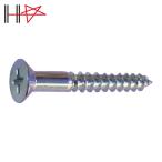 ダイドーハント HP ユニクロ 木ネジ 皿 2.1×6.3 36本入 (1Pk) 10185421