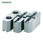  Trusco TRUSCO ноготь подошва для стандарт type молния 10 дюймовый (1S) MSE-10