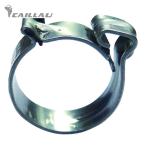 CAILLAU 332000120B шланг зажим CLIC затягивание диаметр 12.5~13.5mm (1 пакет )