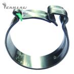 CAILLAU 312000160B шланг зажим CLIC затягивание диаметр 16.5~17.5mm (1 пакет )