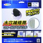  Asahi авторучка большой дыра для ремонта wall lipe Apache 15CMX15CM HC-WP6 (1 шт ) номер товара :308108