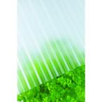 taki long поли ka волна доска 32 волна 6 сяку 650 прозрачный f Lost (1 листов ) номер товара :217620