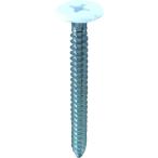 ＤＡＩＤＯＨＡＮＴ　１×４サポート専用ビス　頭白　３×３０ 10179755