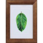 Kenko 1250173 фоторамка каучуковое дерево Brown PS-GM-BR PS-GM-BR
