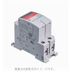 富士電機　サーキットプロテクタ　ＣＰ３０Ｆシリーズ　２極　中速形 CP30FM-2P007
