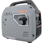 デイトナ　インバーター発電機　ＤＡＹＧＥＮＥ１９００ｅ　リモコン付き 55004