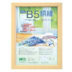 ナカバヤシ　樹脂製軽量額（キジ）パック／Ｂ５ KWP-51