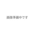 【直送品】 スーパーツール ビームクランプ SBN3