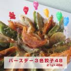バースデー３色餃子48　ギフト　年に一度の誕生日お祝い