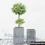 セメント製 植木鉢 大型 長方形 観葉植物鉢 深い 排水できる 鉢植えカバー 鉢カバー シンプル アンティーク調 室内用プランター セメントプランター 深型 角型