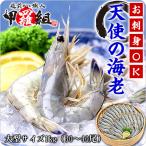 エビ えび 天使の海老 1kg 21〜30尾入 送料無料 天使のえび 天使のエビ プレゼント  FF