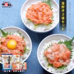 三種のサーモン海鮮丼セット（3種×