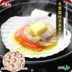 海鮮BBQにもってこい♪天然殻付き生ほたて大型サイズ（殻幅10〜12cm）×8枚入り 帆立 ほたて ホタテ バーベキュー BBQ FF