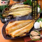 【在庫過多のため見切り品】3個ご購入で実質1個分タダ!? 脂がしたたる 肉厚 しまほっけ & とろさば 一夜干し セット(2種セット)さかなまち ポイント利用