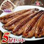 うなぎ 鰻 国産 ウナギ 蒲焼き 大サイズ 155g×5本入り(10人前) ※タレ＆山椒付き 化粧箱 ギフト 贈り物 誕生日 母の日 FF