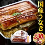敬老の日 ギフト うなぎ 蒲焼き 国産 無頭230g×2尾入り 真空パック ギフト化粧箱 食べ方説明書 タレ＆山椒付き ウナギ 鰻 御中元 贈り物 FF