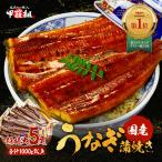 父の日 丑の日 うなぎ 鰻 国産 ウナギ 南九州のブランドうなぎ蒲焼き超特大サイズ220g前後×5尾 ※タレ＆山椒付き 化粧箱 ギフト 贈り物 誕生日 FF