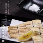 【冷凍商品同梱専用商品】うなぎ 白焼き ハーフカット 1パック60g 国産うなぎ 熊本県産 お中元 父の日