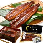 うなぎ 鰻の蒲焼き 大サイズ(170g×2尾)国産 熊本県産 ギフト 内祝い 化粧箱 贈り物 ギフト グルメ プレゼント お中元 父の日