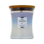  параллель импортные товары дерево wikWood Wick трилогия ja-M машина min Gris уход ароматическая свеча [....]