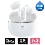 ワイヤレスイヤホン Bluetooth5.3 カナル型 自動ペアリング IPX6防水 高音質 ノイズキャンセリング タッチ操作 音声アシスタン ブルートゥース イヤホン