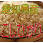 玄米 こしひかり 2kg令和4年産 愛知県産　　