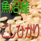 玄米 魚沼産こしひか�
