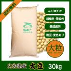 大分県産大豆 30kg 規格外・大粒 令和2年産