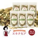 エキナセア 30g×6 / チャック付