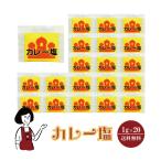 ショッピングマルニ マルニ カレー塩 1g×20袋