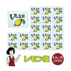  Marni лимон соль 0.5g×20 пакет 