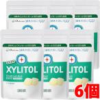 [6 шт ][ почтовая доставка отправка ]XYLITOL жевательная резинка с ксилитом зуб . специальный Apple мята (lami молния 35g)×6 шт 