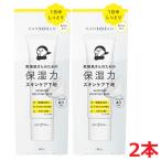 [2 шт ][ почтовая доставка отправка ] сухой san увлажнитель сила уход за кожей фундамент ( основа под макияж )30g×2 шт BCL KANSOSAN