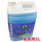 ショッピング緑の魔女 【ドイツ生まれ地球にやさしい洗剤】緑の魔女 トイレ洗剤 5L