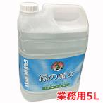 【ドイツ生まれ地球にやさしい洗剤】緑の魔女 ランドリー 5L