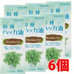 ショッピングハッカ油 【6個セット】食品添加物 和種 ハッカ油 20mL×6個【コンパクト発送】