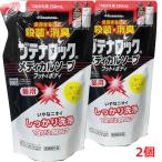 【2個】【メール便発送】【医薬部外品】ブテナロック メディカルソープフット&ボディ 詰替え用 250ml×2個