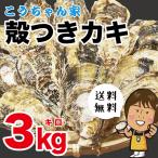 殻付牡蠣３kg　さこし産