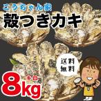 殻付牡蠣８kg　坂越産