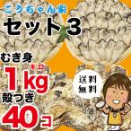 さこし産　殻付き・むき身セット3　坂越産