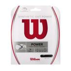 ウイルソン Wilson テニスガット・ストリング  SYNTHETIC GUT POWER 16 BLACK WRZ945200  『即日出荷』