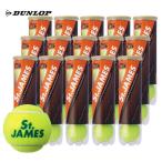 「365日出荷」DUNLOP ダンロップ 「St.JAMES セントジェームス  1箱 15缶/60球 」テニスボール 『即日出荷』