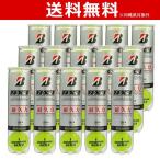 BRIDGESTONE ブリヂストン NX1 エヌエックスワン  4球入 １箱=15缶〔60球〕BBANX1 テニスボール